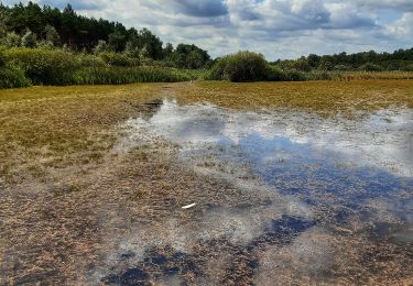 Percorso A piedi Oudsbergen - Donderslag Blauwe ruit - Photo