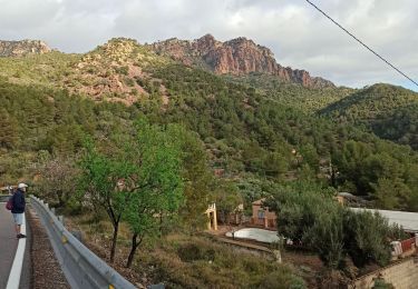 Excursión Senderismo Segart - Pico Garbi  - Photo