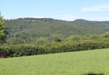 Excursión A pie Gersfeld - Rhön-Rundweg 1 Horstberg - Photo