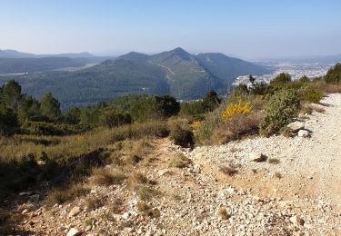 Randonnée Marche Gémenos - Coulin, Mont Cruvelier, Sommet de Bigou - Photo