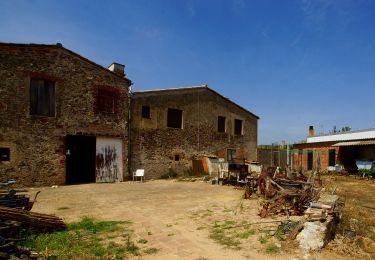 Percorso A piedi Calonge i Sant Antoni - SL-C 26 Puig del Cargol - Photo