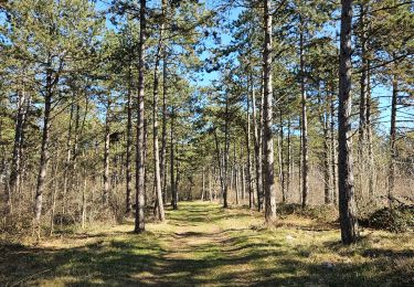 Trail Walking Viroinval - A la découverte de Nisme 🥾 - Photo