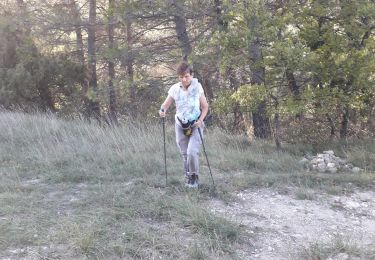 Tocht Stappen Rochefort-en-Valdaine - 06 10 22 - Photo