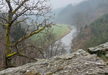 Trail Walking Stavelot - Stavelot 13 Km - Photo