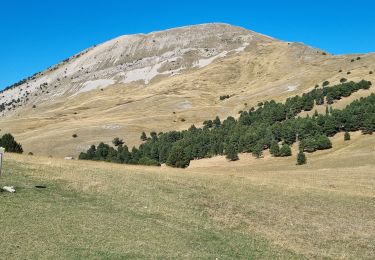 Trail Walking Châtillon-en-Diois - mont barral - Photo