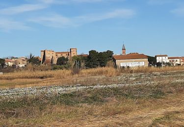 Tour Wandern Corneilla-del-Vercol - thématique mo tescot du 18 02 2023 - Photo