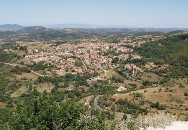 Percorso A piedi Laconi - Sa Bia de is Caminantis - Photo