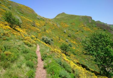 Randonnée Marche Laveissière - Cantal - le Lioran - Bec de l Aigle - 10.8km 540m 4h55 - 2019 06 26 - Photo