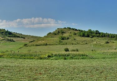 Trail On foot Târgu Mureș - Târgu Mureș (Dâmbul Pietros) - Vațman - Dealul Maiad - Beu - Vf. Terebici - Photo