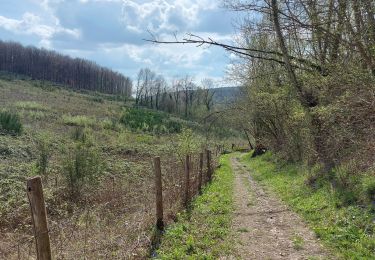 Excursión Senderismo Saint-Martin-du-Vivier - 20230416 St Martin du Vivier - Photo