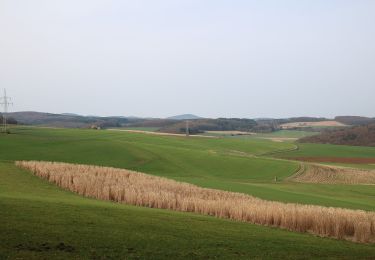 Tour Zu Fuß Gladenbach - [G1] - Rund um Gladenbach - Photo