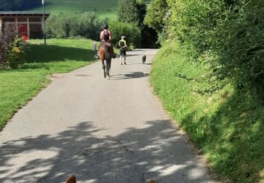 Tocht Paardrijden Chainaz-les-Frasses - balade du 10.08.2019 - Photo