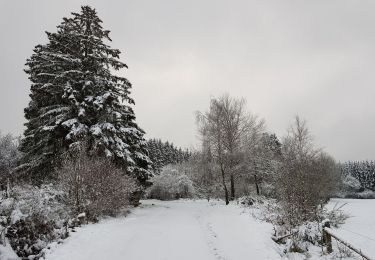 Tocht Stappen Stavelot - Hockai - Le Trôs Maret - La Fagne du Fraineu - Photo