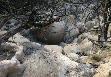 Excursión Senderismo Vallon-Pont-d'Arc - Chame le Tiourre - Photo