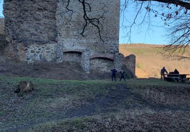 Tour Wandern Gebweiler - Château du Higstein Guebwiller  - Photo