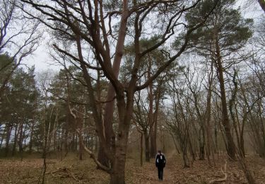 Tour Wandern Mousseaux-sur-Seine - moisson - Photo
