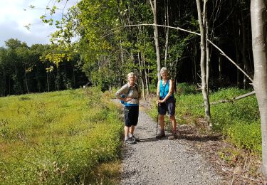 Tour Wandern Écaussinnes - 2019-08-03 Ecaussinnes 20 km - Photo