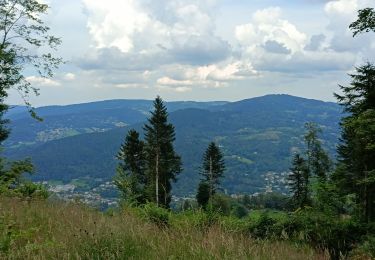 Randonnée Marche Thiéfosse - AR col de xiard roche montivieille - Photo