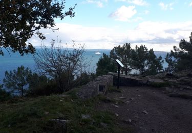 Trail Walking Crozon - les hauts de Morgat  - Photo