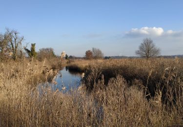 Percorso Marcia Le Teich - 2022-01-16 Tour des plaines du Teich - Photo