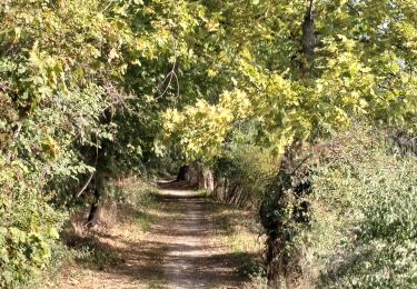 Tour Wandern Chabanière - 69-st-maurice-dargoire2-19km-580m - Photo