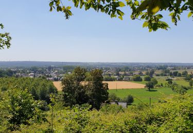 Tour Zu Fuß Jemeppe-sur-Sambre - Balade à Jemeppe-sur-Sambre - Photo