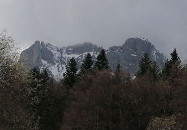 Trail Walking Gresse-en-Vercors - agressé 2023 - Photo