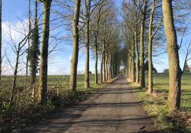 Tour Wandern Villers-la-Ville - Autour du Golf de Rigenée - Photo