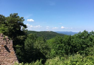 Tour Wandern Winzenheim - wintzenheim et les châteaux - Photo