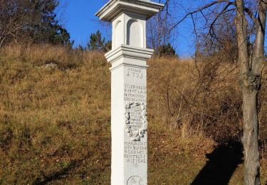 Tour Zu Fuß Gemeinde Sommerein - Rund um den Kolmberg - Photo