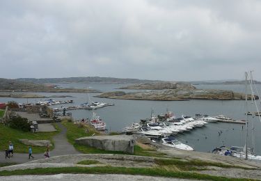 Excursión A pie  - Tursti Vrengen-Grepan (Tjøme) - Photo