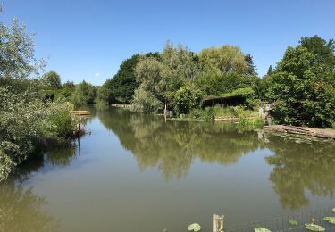 Randonnée Marche Clairmarais - Clairmarai - Photo