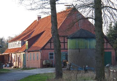 Excursión A pie Südheide - Südheide 'In einem Bächlein helle' W6m (mittlere Tour) - Photo