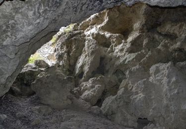 Tocht Te voet Gemeinde Pfaffstätten - tut-gut-Wanderweg Pfaffstätten Route3 - Photo