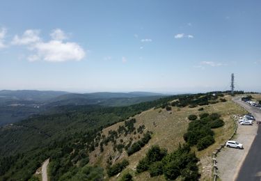 Trail Walking Bassurels - 2023-07-15 Aire de côté - Aigual - Photo