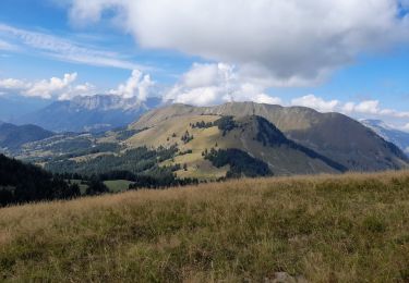 Trail Walking Manigod - ARAVIS: POINTE D'ORSIERE VARIANTE - Photo