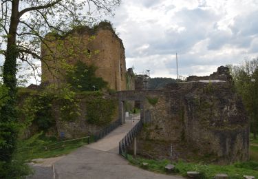 Percorso Marcia Theux - 20220509 - Château de Franchimont 7.6 Km - Photo