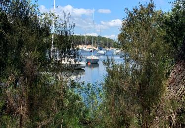 Tour Wandern Hourtin - Fonfon/zot/sylvia piqueyrot la gracieuse AR - Photo