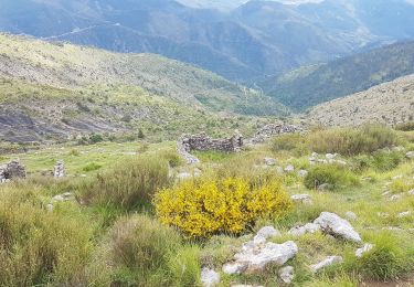 Tour Wandern Lucéram - Col de Porte Col de L’Autaret - Photo