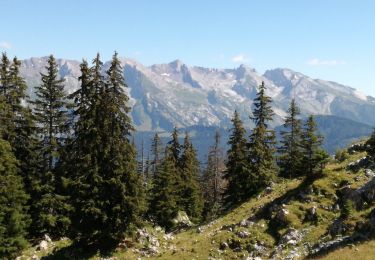 Tour Wandern Le Grand-Bornand - AIGUILLE VERTE boucle - Photo