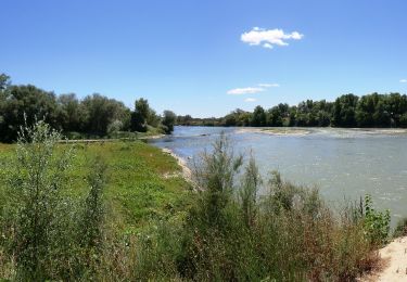 Trail On foot Zaragoza - Desembocadura del Gállego - Photo