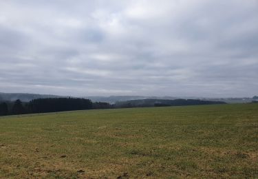 Tocht Stappen Bastenaken - rando lutrebois 18-01-2022 - Photo