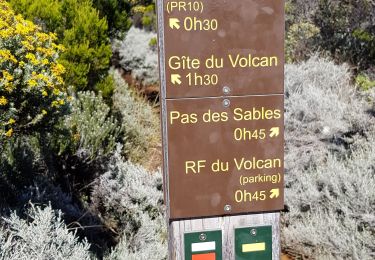 Trail Walking Saint-Joseph - Boucle autour de la plaine des sables - Photo