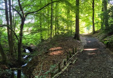 Trail Walking Frasnes-lez-Anvaing - Balade au pays de collines - Photo