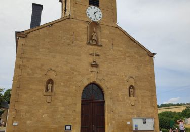 Tour Wandern Rouvroy - la torgnolaise  - Photo