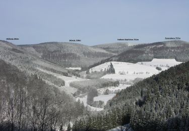 Percorso A piedi Schmallenberg - Rothaarsteig-Spur Sorper-Panoramapfad - Photo