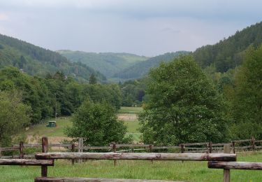 Tour Zu Fuß Simmerath - DE-75 - Photo