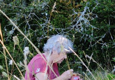Trail Walking La Roque-Sainte-Marguerite - Montredon - Photo