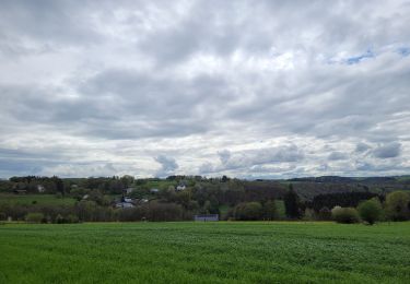 Randonnée Marche Houffalize - rando engreux 5 -05-2023 - Photo