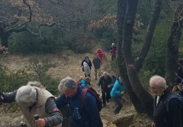 Tocht Stappen Alleins - Alleins-Vieux Vernègues-Alleins - Photo